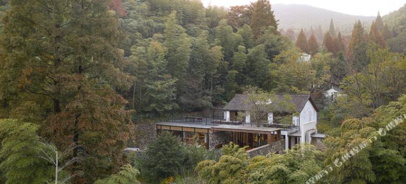 菩提谷(杭州大麓寺店)图片