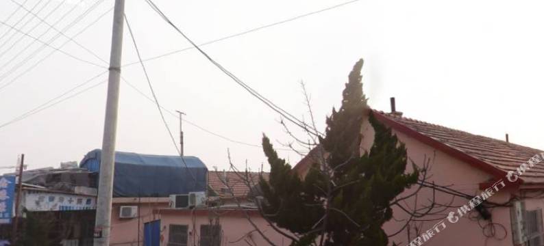 长岛大海渔家乐图片