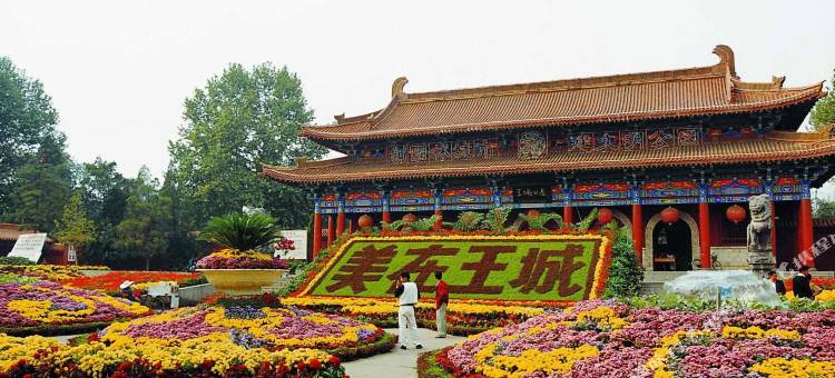 如家UP华驿精选酒店(洛阳火车站店)图片