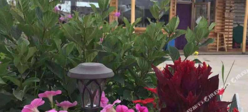 额尔古纳恩和琳娜之家民宿图片