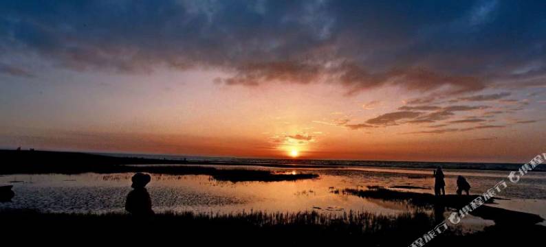 青海湖西海岸假日宾馆图片