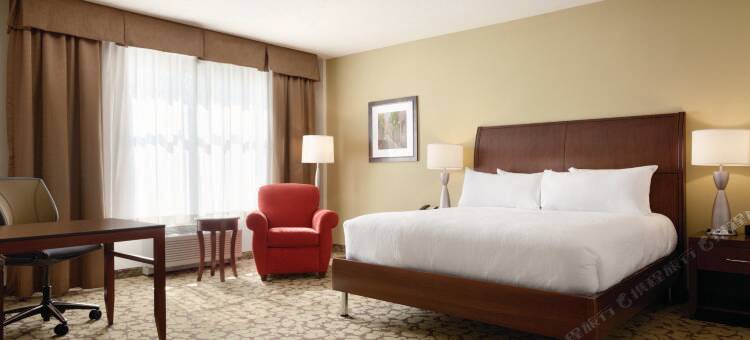 波士顿洛根机场希尔顿花园酒店(Hilton Garden Inn Boston Logan Airport)图片