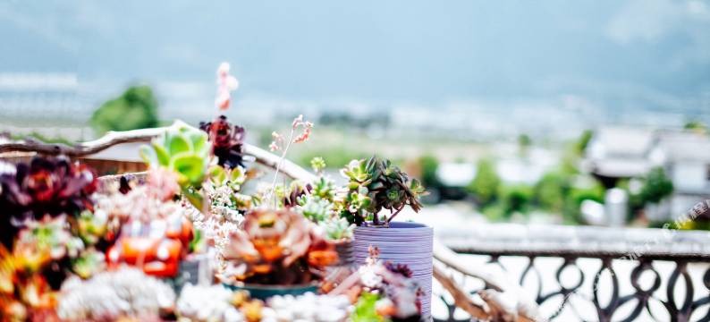 大理地山客栈(洱海才村店)图片