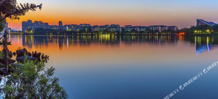 麗枫酒店(东莞松山湖店)图片