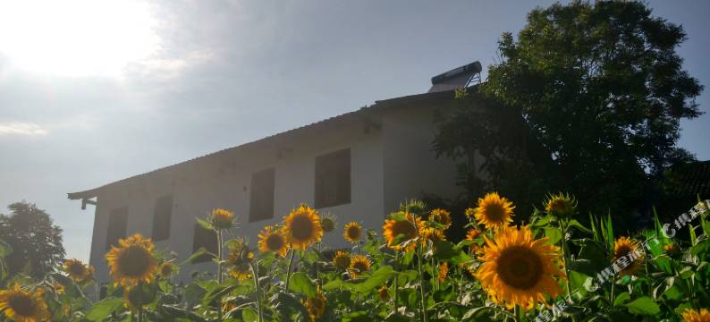 广元家岸客栈图片