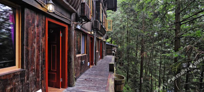 西江时光里森林度假酒店图片