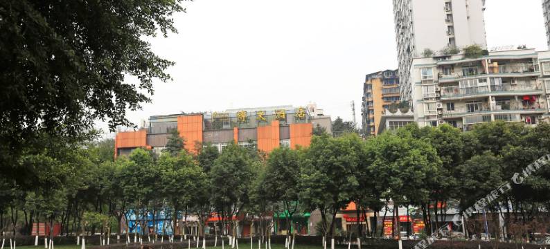 重庆紫源创艺酒店图片