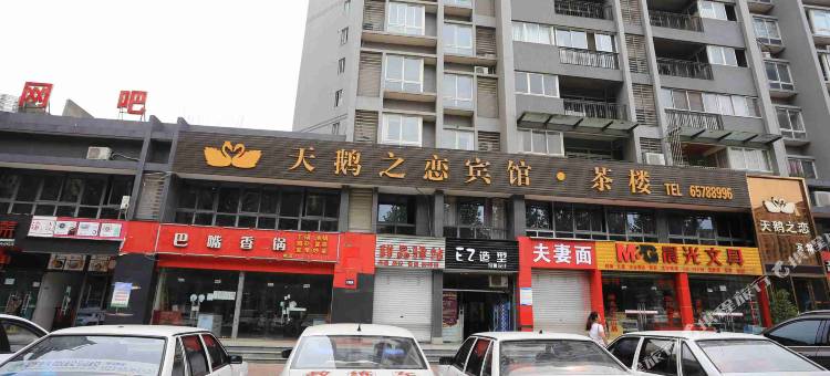 重庆天鹅之恋宾馆图片