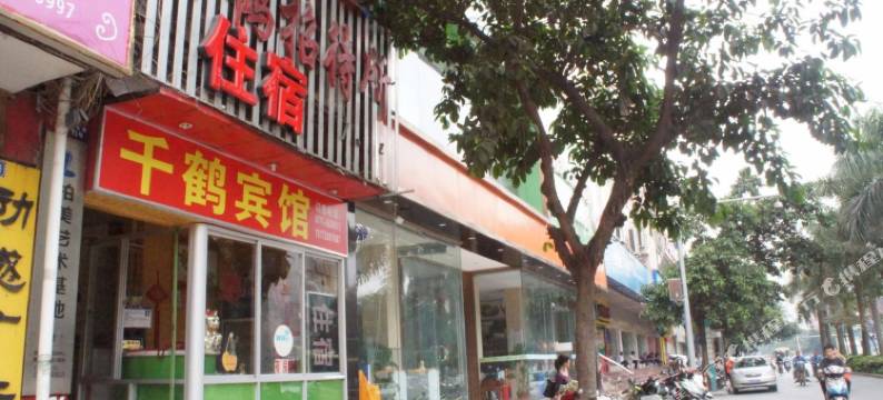 南宁千鹤招待所图片