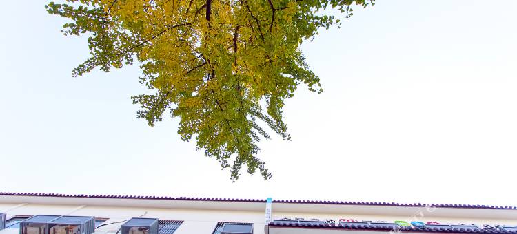 易佰良品酒店(观前街十梓街店)图片