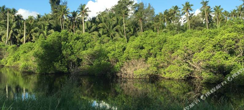 文昌蓝域民宿图片