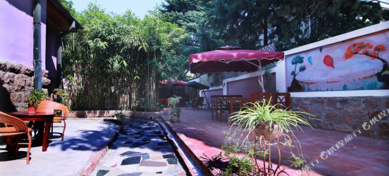 青岛九号丙青年旅舍图片