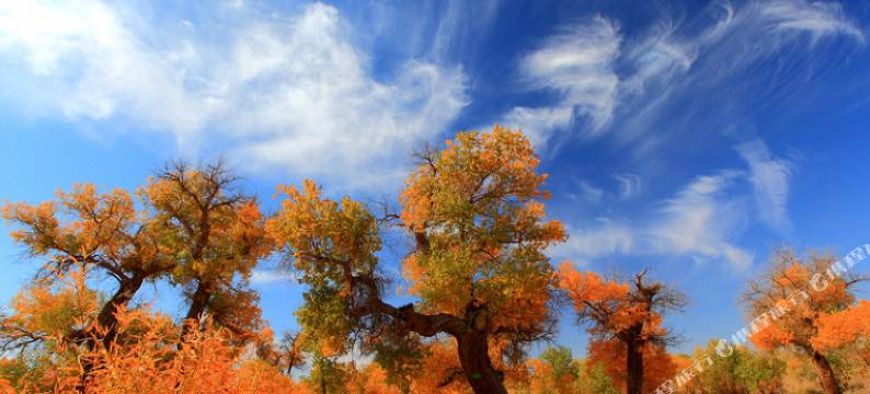额济纳旗龙顺源大酒店图片