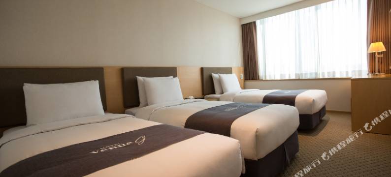 首尔G地酒店(Hotel Venue-G Seoul)图片