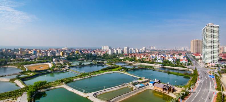 北海银滩听海主题公寓图片