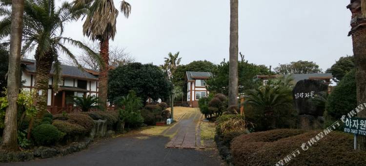 济州亚萨翁酒店(Seogwipo Jeju Yajawon Pension)图片