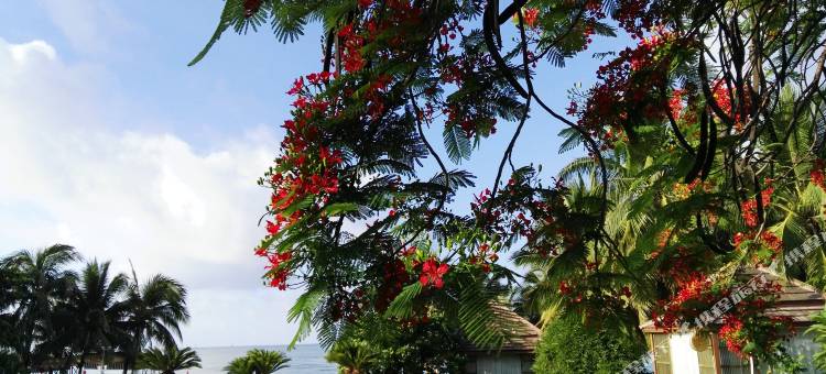 三亚凤凰花全海景度假公寓(鹿岭路分店)图片