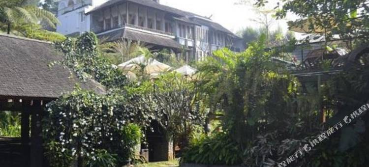 鲁马草莓有机农场及家庭旅馆(Rumah Stroberi Organic Farm and Lodge)图片