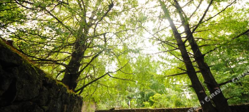 腾冲景硕园农家乐图片