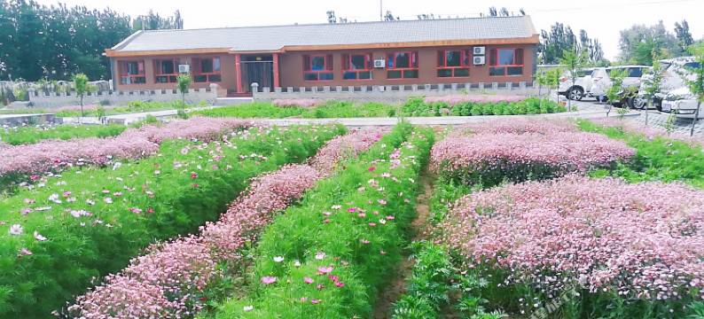 中卫田觅觅亲子农场图片