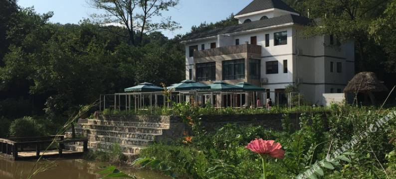 信阳百了一宿乡村酒店图片