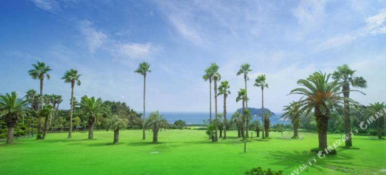 西归浦KAL酒店(Seogwipo KAL Hotel)图片