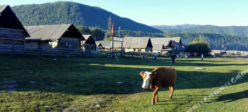 布尔津禾原牧居图片