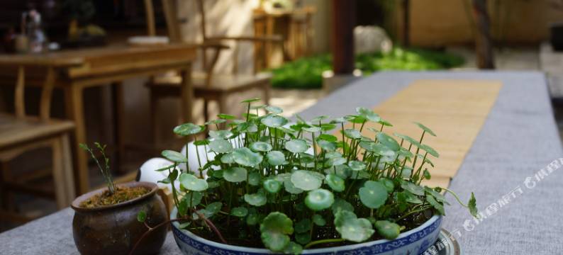 礼泉净心谷精品民宿图片