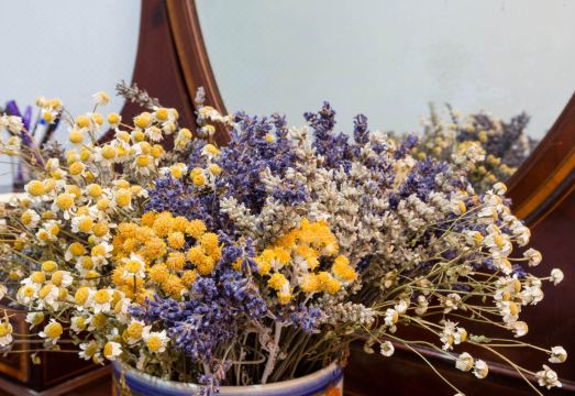 Residenza d'Epoca Palazzo Riblet Hotel Overview