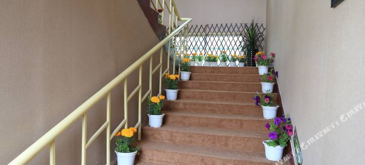 海西大柴旦盐兴宾馆图片