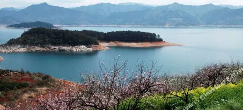 资兴v湖悦公寓图片