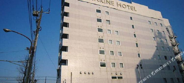 市原海洋酒店(Ichihara Marine Hotel)图片