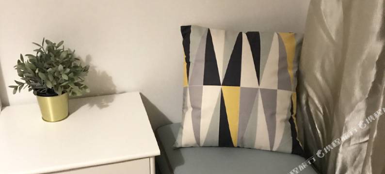 上海弄堂里13号线淮海中路清新Loft普通公寓(分店)图片