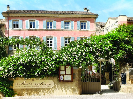 透明羽毛酒店 - Teritoria