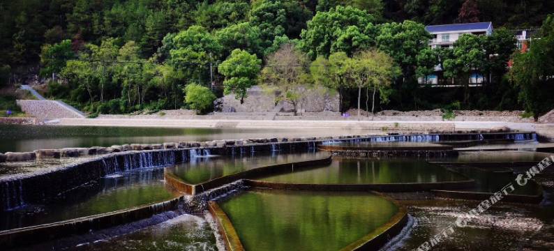 丽水颜氏故里民宿图片