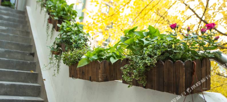 玐玥海青年旅舍(上海火车站店)图片