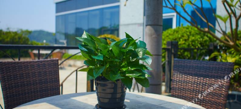 明记精品公寓图片