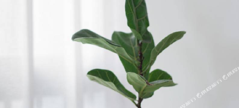 深圳北cococity特别能消磨时间的家公寓图片