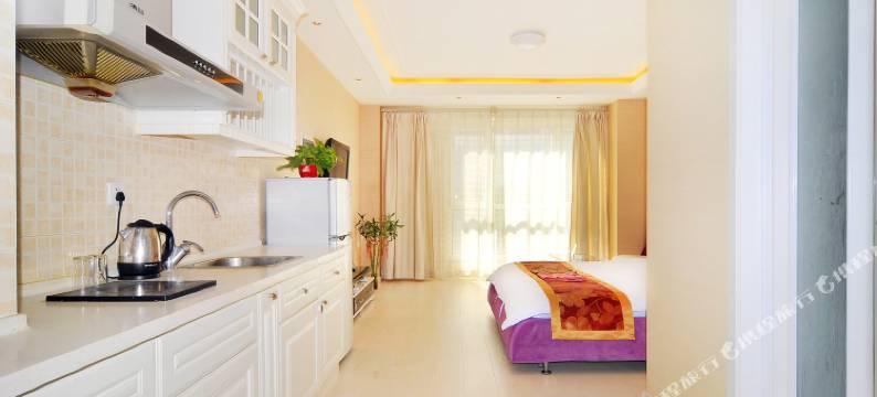 沈阳王姐家公寓图片