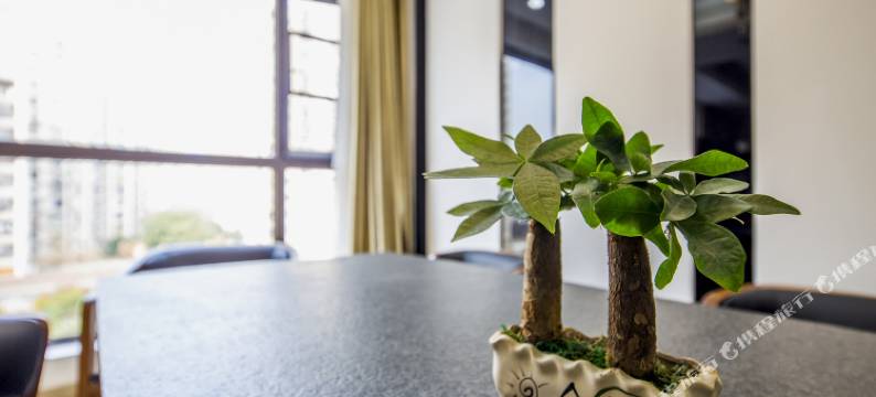 成都熊猫基地春熙路宽窄巷子新装高档地铁四房普通公寓图片