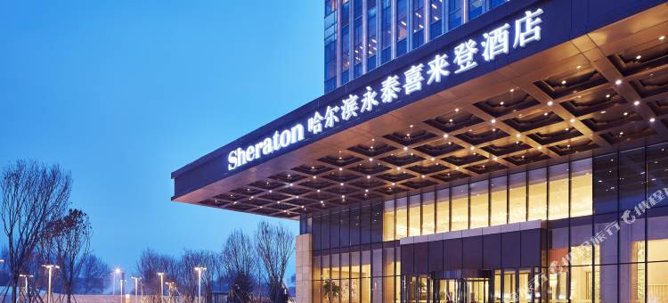哈尔滨香坊永泰喜来登酒店图片