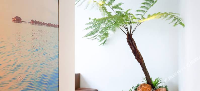 厦门燕栖民宿图片