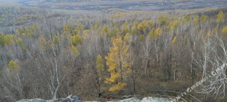 大兴安岭加格达奇区迎宾宾馆图片
