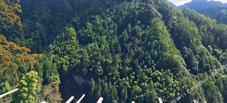 白水洋马鞍农家乐图片