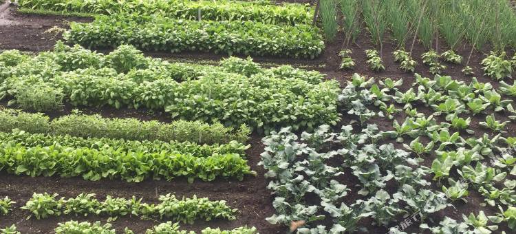 额尔古纳室韦临江嘎俐畅游阁民宿图片