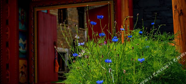 藏韵温泉别院图片