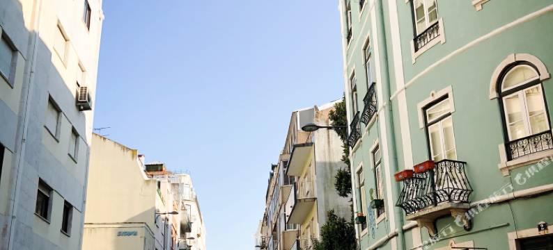 里斯本卡尔迪纳斯＆佩特拉斯公寓(Cardinas & Petalas)图片