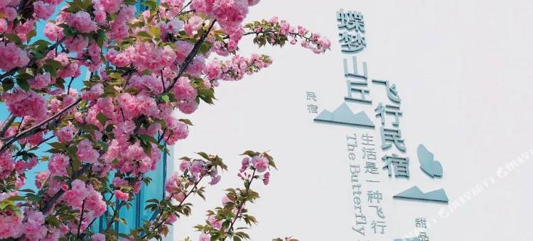 南京蝶梦山丘飞行民宿图片
