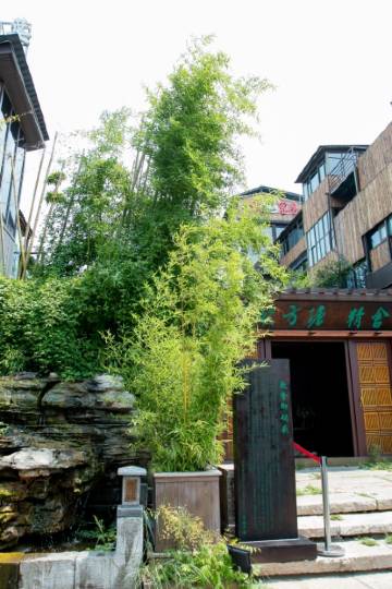 济宁半亩方塘度假酒店图片