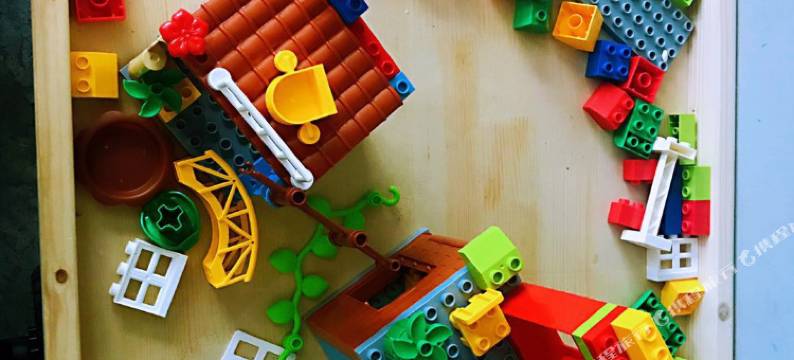 乌镇澜庭素舍民宿图片